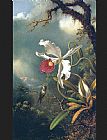 Famous Orchid Paintings - An Amethyst Hummingbird with a White Orchid